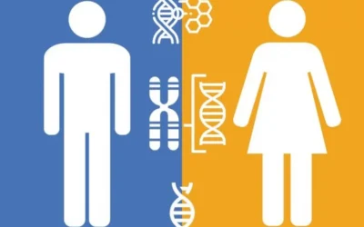 Gender Differences in Cognitive Aging: Decline in Men and Cognitive Gains in Postmenopausal Women